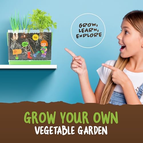 Root Viewer Kit for Kids - Grow Your Own Plant for Boys & Girls Gifts - Image 4
