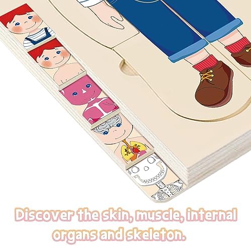 Wooden My Body Puzzle for Kids, Girls - Image 4