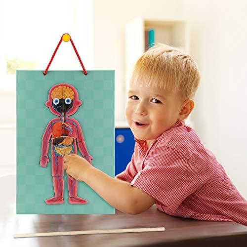 Human Body Puzzle for Kids Toddlers 90PCS Magnetic Boy Girl Anatomy Play Set Body Parts Organs Muscles Skeleton and Bones Wooden Puzzle Toys Aged 3+ Educational Learning Preschool Toys - Image 4