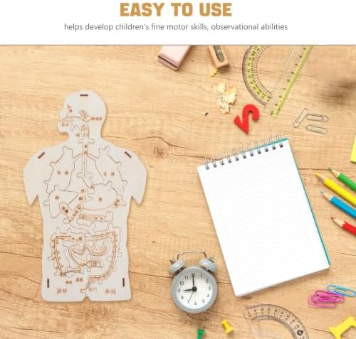 3pcs Human Body Model Wooden Puzzle, Science Kit for Cognitive Education and Collaborative Learning, Beige Color, for Family Playtime and Home Use - Image 3