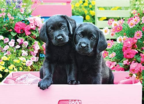 EuroGraphics Black Labs in Pink Box 500 Piece Puzzle - Image 3