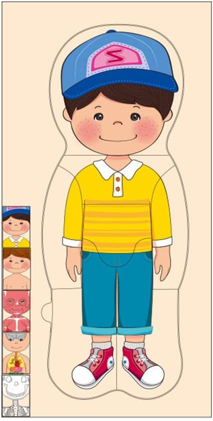 Childrens Human Body Puzzle Thickened Body Organ Learning Game, Sturdy Educational Toy for Boys Girls, 15 * 2 * 30cm Size (#1) - Image 6