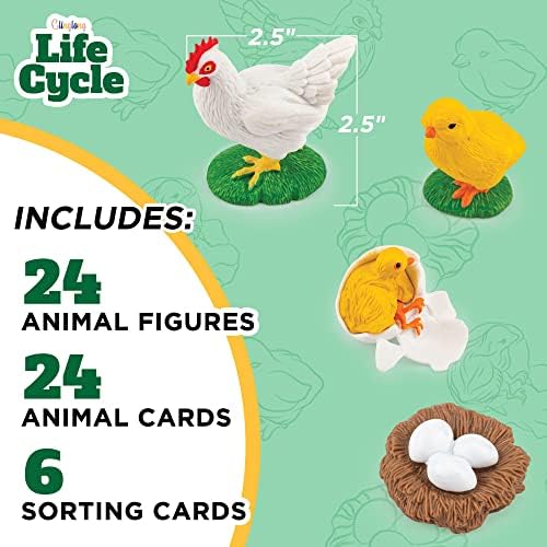 Life Cycle Animal Kit - Montessori Science Toy with 24-Piece Matching Game, Butterfly, Frog, Chicken, Bee, Ladybug and Turtle STEM Educational Gift, Easter Basket fillers for Kids Ages 3-8 - Image 2