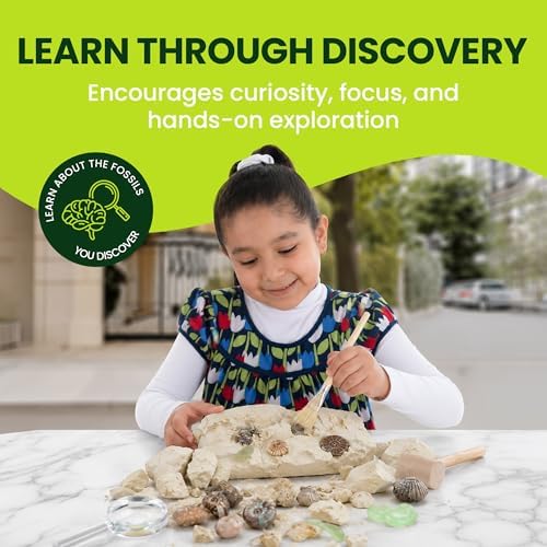 Nature Gear Dino Fossil Dig Kit for Kids, Educational Excavation Kit with 15 Glow in The Dark Mystery Fossils, Interactive Dinosaur Science Kits for Kids Age 3-5 and Up, Excavation Adventure Kit - Image 6