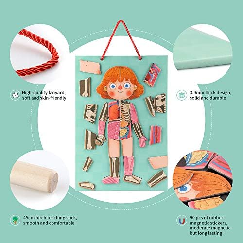 Human Body Puzzle for Kids Toddlers 90PCS Magnetic Boy Girl Anatomy Play Set Body Parts Organs Muscles Skeleton and Bones Wooden Puzzle Toys Aged 3+ Educational Learning Preschool Toys - Image 5