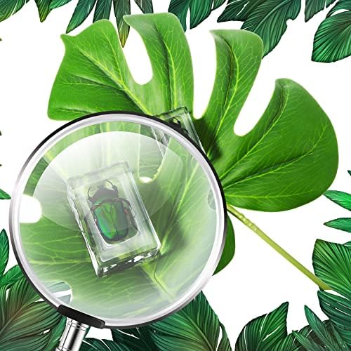 12 Pcs Insect Specimens for Kids Bug Collection Kit, Butterfly - Image 3