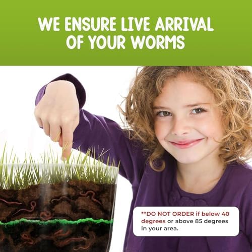 Worm Farm for Kids Kit with 20 Live Composting Worms, All-in-One Bundle - Image 3