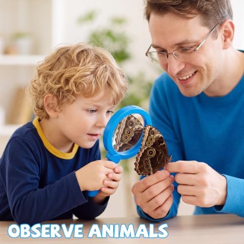 Lewtemi Kids Science Learning Toys Kids Magnifying Glass with Stand Grasp Jumbo Magnifiers 3X Magnification Exploration Preschool Learning Toys for Reading Book Map Insect (Blue) - Image 4