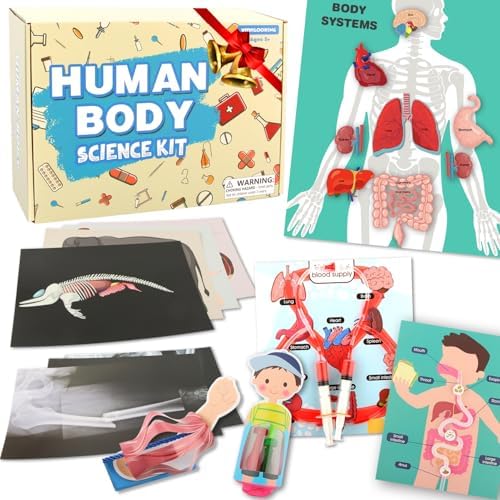 Human Body Activities & Experiments Science Kit for Kids,Human Anatomy Body Parts with Broken Bones X Ray,Lung Breathing Model, Vessels, Digestive System,Muscles Model,Skeleton,Human Organ STEM 5+ by VMNlooking