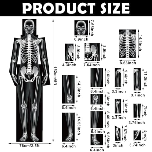 Lineshading 16 Pieces Human x Rays Bones Pretend x Rays for Kids Human Bones Body Educational Science Kit Display Play Table(Black and White) - Image 2