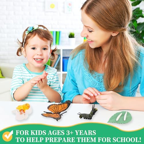 6 Set Montessori Life Cycle Learning Toys - Early Education Activities for Kids - Image 6
