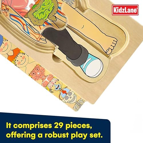 Kidzlane Boy Wooden My Body Puzzle for Toddlers & Kids - 29 Piece Boys Anatomy Puzzle Kid Play Set - Anatomy for Kids, Skeleton Toys for Children Ages 3 Plus - Image 5