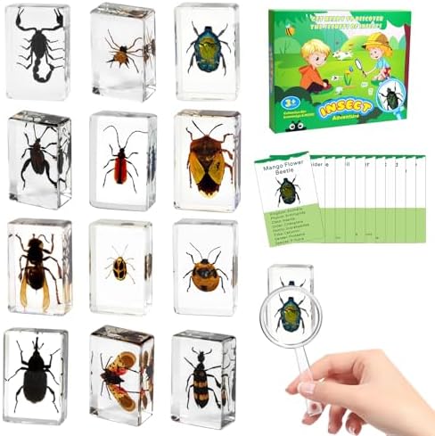 12Pcs Insect Specimens Set, Real Insect Taxidermy in Resin Specimens with Magnifier & Info Cards, Unique Science Classroom Science Education Animal Specimens, Bug Preserved, Oddities, Biology by QNCMBUG-HighQualitySpecimens