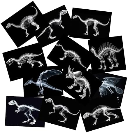 Animal X-Ray Set, Educational Science Kit, Light Table Accessory for Children (Dinosaurs) by SZREGGIO