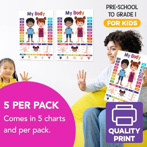 FoldCard My Body Chart Educational Poster 8.5x11 5pk - Image 4