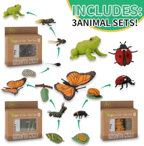Montessori Life Cycle Learning & Education Toys - Plastic Insect Ladybug, Monarch Butterfly, and Tadpole-to-Frog Kit for Kids, Learning Activities for Early Education - Image 5