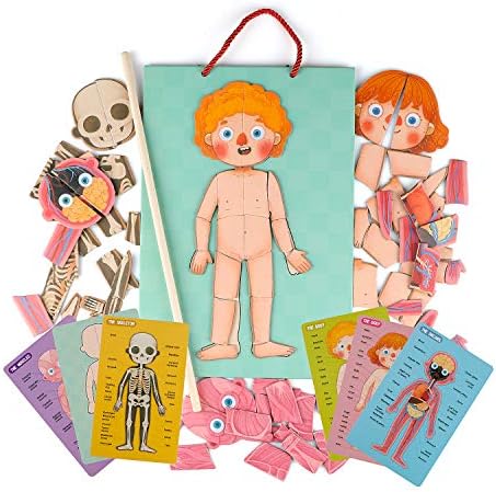 Human Body Puzzle for Kids Toddlers 90PCS Magnetic Boy Girl Anatomy Play Set Body Parts Organs Muscles Skeleton and Bones Wooden Puzzle Toys Aged 3+ Educational Learning Preschool Toys - Image 2