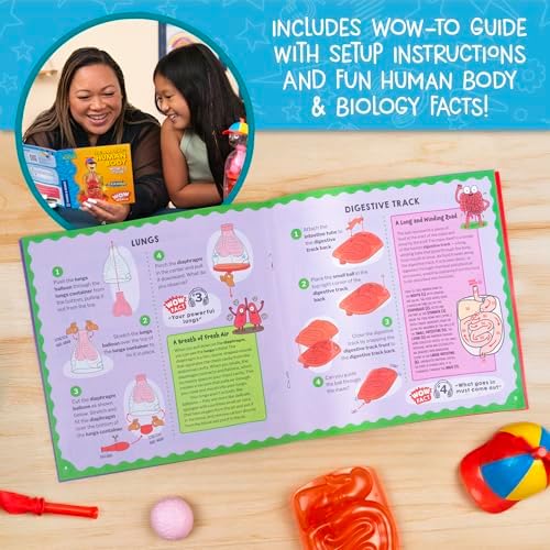 Wow in The World The Amazing Human Body Kit by Thames & Kosmos, Interactive Mechanical Anatomy Model w/Pumping Heart, Lungs, Digestive Tract, Glow-in-The-Dark Bones, Brain & More, Science for Ages 4+ - Image 5