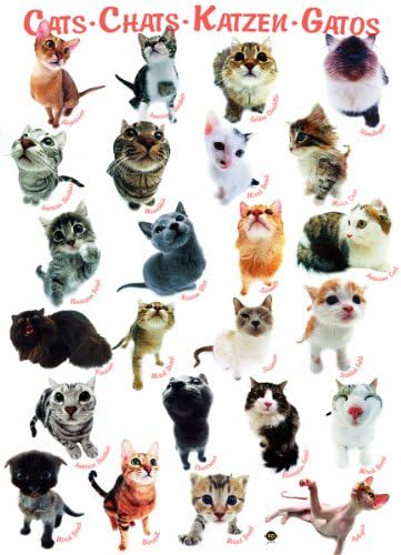 EuroGraphics Cats Puzzle (300-Piece) - Image 2
