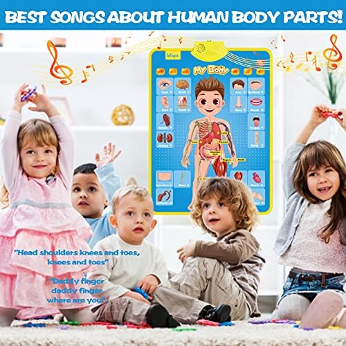 My Body Interactive Educational Poster for Toddlers and Kids to Learn Body Parts, Organs, Muscles and Bones, 16'' x 22'' - Image 7