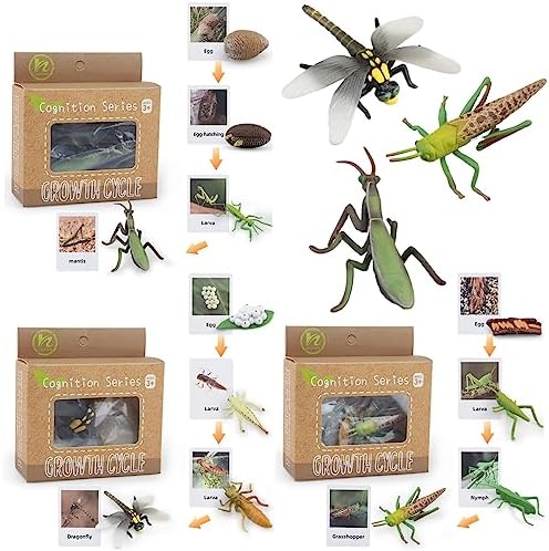 Montessori Life Cycle Animal Figures with Flash Cards, Realistic Animal Figurines Toy, and Educational Matching Game for Kids(Mantis, Locust, Dragonfly) by BOTICAKO