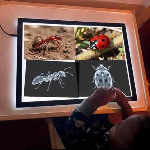 16 Animal X-Ray Set, Educational Science Kit for Kids to Explore Bone Structures for Lightstand Accessories, Light and Shadow Areas (Insect Series) - Image 3