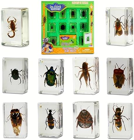 Geoworld 10 Insect Specimens Set - Real Beetles, Scorpions, Crickets in Resin with Magnifying Glass & Booklet - Great for Science Projects - Kids Scientific Educational Toy by Uncle+Milton