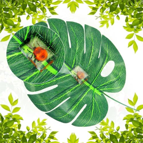 CroBlissful 6 Pcs Insect in Resin Specimen Bugs Collection Paperweights Bugs in Resin Bug Collection Kit for Kids Scientific Educational Toy Classroom Display Supplies - Image 4
