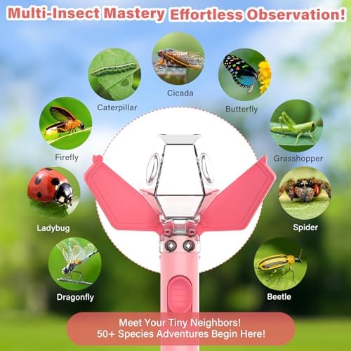 Bug Catcher for Kids with 6X Magnifier, STEM Educational Exploration Toys - Image 4