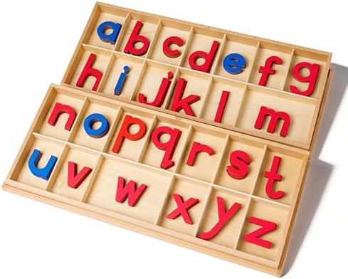 Premium Large Wooden Movable Alphabet Set 22.4in 5.2 lbs,155 Lowercase Letters in Dual Beechwood Boxes | Montessori Red & Blue Letters for Word Building & Writing,Wood Large Movable Alphabet - Image 6