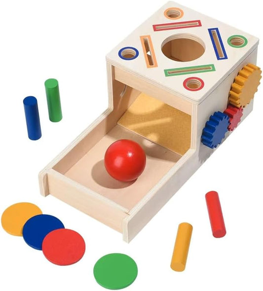 Montessori Multi-Function Ball & Coin Drop Activity Box by WISBOOK