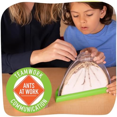 Insect Lore Ant Hill - Ant Habitat with Voucher to Redeem Live Western Harvester Ants - STEM Learning and Education Project for Classrooms or Homeschool - Image 3
