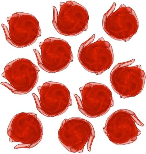 Lolakee Dance Scarves 12 Pcs Juggling Scarves for Kids Play Silk Scarve for Babies Toddlers Children Movement Learning Education Musical Accessories Colorful Scarfs Magic Tricks Performance (Red) by Lolakee