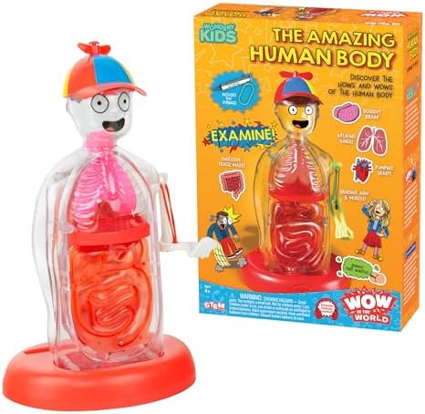 Wow in The World The Amazing Human Body Kit by Thames & Kosmos, Interactive Mechanical Anatomy Model w/Pumping Heart, Lungs, Digestive Tract, Glow-in-The-Dark Bones, Brain & More, Science for Ages 4+ by Unknown