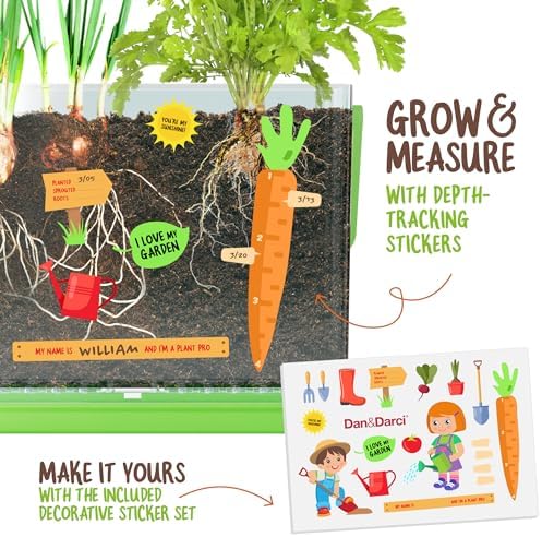 Root Viewer Kit for Kids - Grow Your Own Plant for Boys & Girls Gifts - Image 3