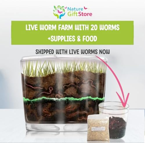 Worm Farm for Kids with 20 Live Worms and Food, All-in-One Ecosystem Bundle - Image 2