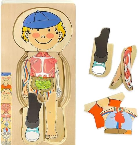 Kidzlane Boy Wooden My Body Puzzle for Toddlers & Kids - 29 Piece Boys Anatomy Puzzle Kid Play Set - Anatomy for Kids, Skeleton Toys for Children Ages 3 Plus by Kidzlane
