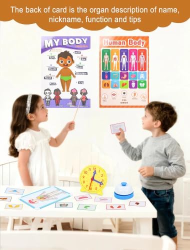 Pretend Teacher Role Play School Set with Emotion and Body Puzzles - Image 3
