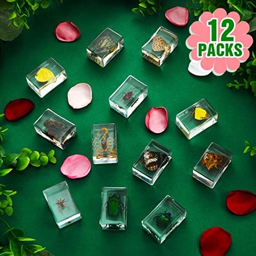 12 Pcs Insect Specimens for Kids Bug Collection Kit, Butterfly - Image 2