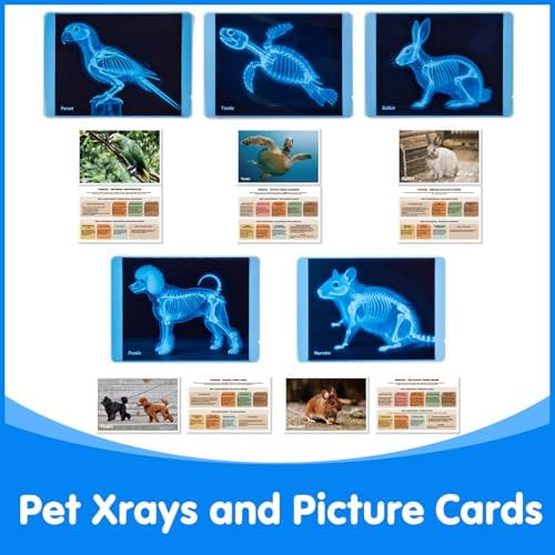 Pet Series Animal Xrays for Kids - Light Table Manipulatives - Image 6