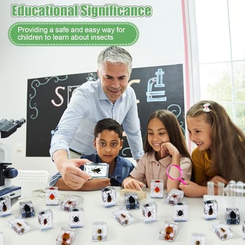 GlikCeil 36 Pcs Insect in Resin Specimen Bugs Discovery Kit Collection Paperweight Bug with Information Flash Cards Preserved in Resin with 3 Magnifier for Scientific Educational Display Supplies - Image 6