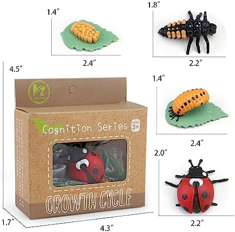 ​Montessori Life Cycle Learning - Montessori Life Cycle Animal Figures with Flash Cards, Plastic Insects Monarch Butterfly Kit Caterpillar Toy for Kids, Realistic Animal Figurines (Ladybug) - Image 6