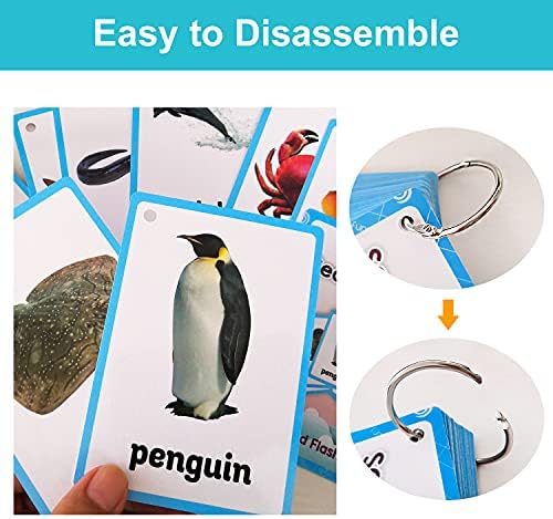 Lilias Sea Animals Flash Cards, Toddler Learning Toys, Preschool Learning Toys, Homeschool Supplies, Learning Supplies for Kindergarten, 4.3 X 3.14 Inch, 20 Cards in Set - Image 4