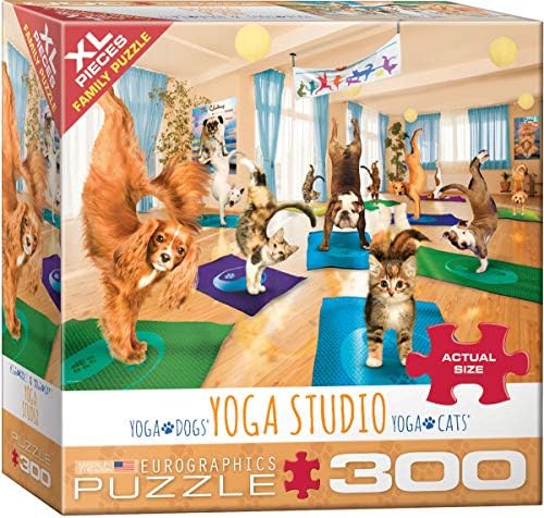 EuroGraphics Yoga Studio 300-Piece Puzzle by EuroGraphics