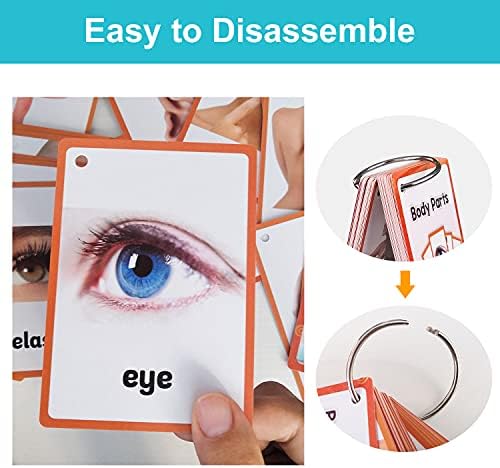 Lilias Body Parts Flash Cards, Toddler & Preschool Learning Toys, Kindergarten Learning Supplies, 4.3 x 3.14 Inch, 34 Cards - Image 4