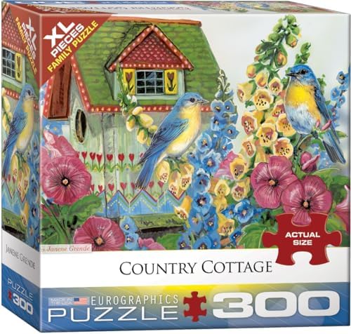 EuroGraphics Nordic Morning by Dominic Davison 300-Piece Puzzle (Small Box), Multi by EuroGraphics