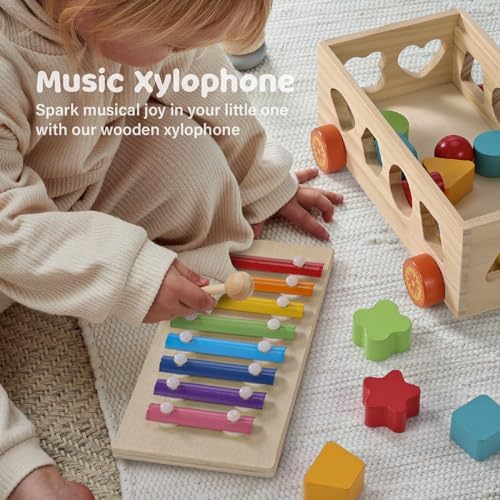 Shape Sorter - Wooden Xylophone and Montessori Number Puzzle Set for Babies - Educational Sorting Game with Storage Car for Toddlers - Image 3