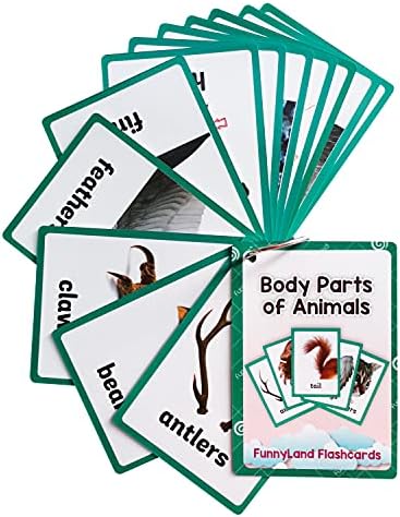 Lilias Body Parts of Animals Flash Cards, Toddler Learning Toys, Preschool Learning Toys, Homeschool Supplies, Learning Supplies for Kindergarten, 4.3 X 3.14 Inch, 12 Cards in Set by Unknown