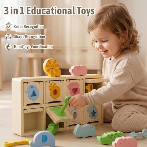 Montessori Toys for 2 Year Old|Wood Lock and Key Toy Fine Motor Skills Color Sorting Shapes Games for Toddlers 1-3|Preschool Learning Activities Birthday Gifts for 2 Year Old Girls and Boy - Image 2