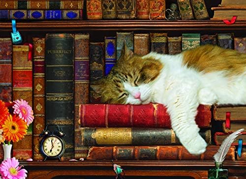 The Cat Nap - Image 2